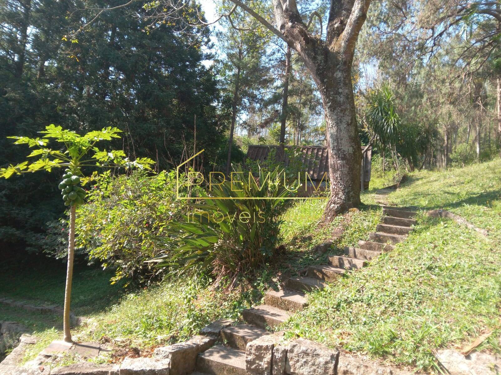 Casa, 12 quartos, 20000 m² - Foto 3