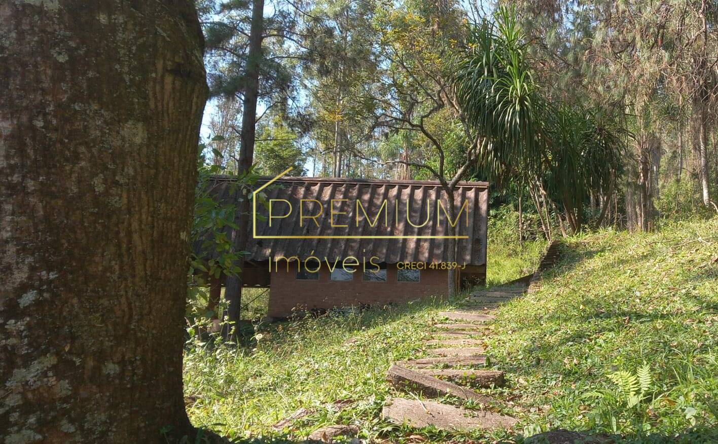 Casa, 12 quartos, 20000 m² - Foto 4