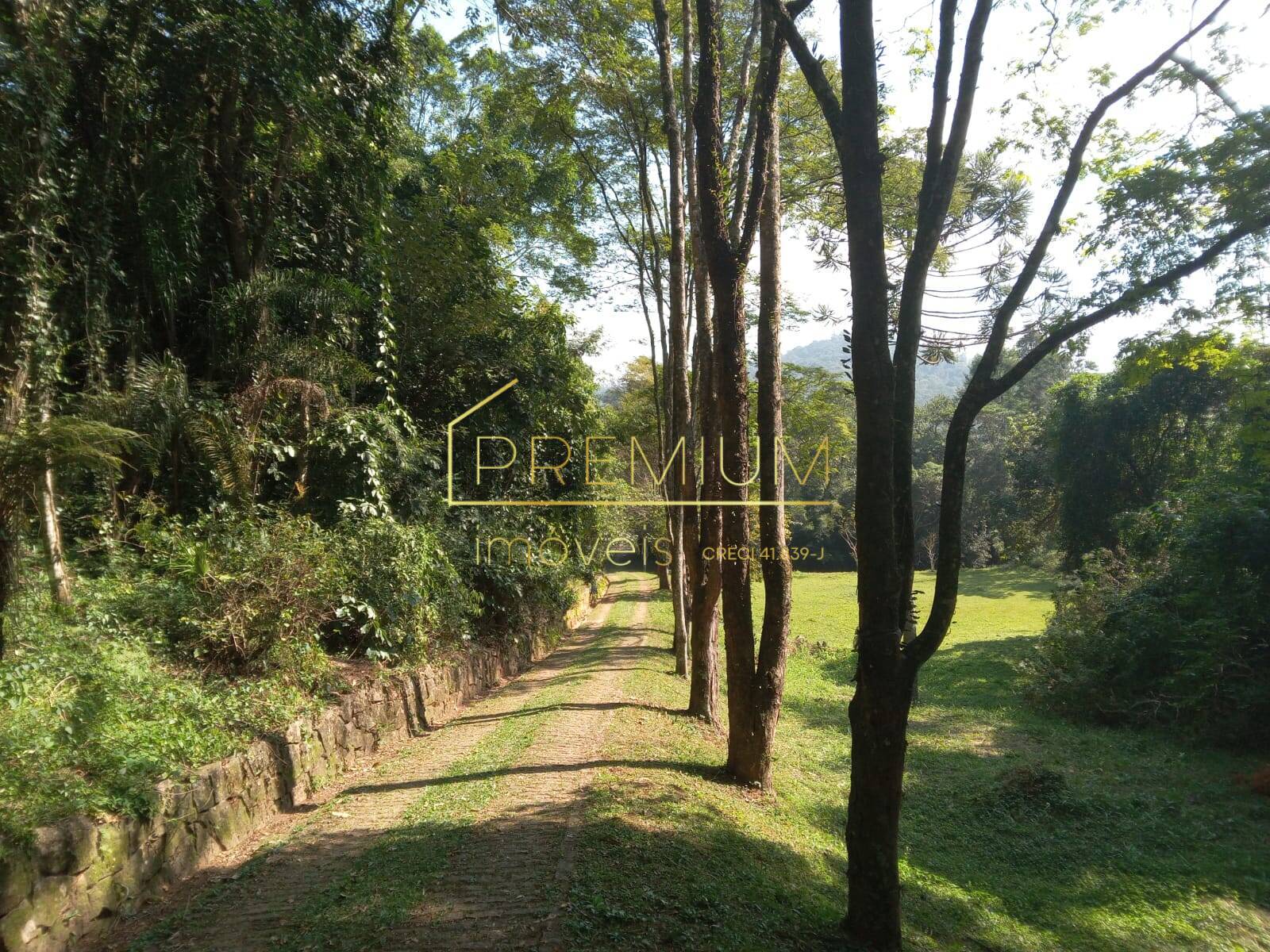 Casa, 12 quartos, 20000 m² - Foto 9