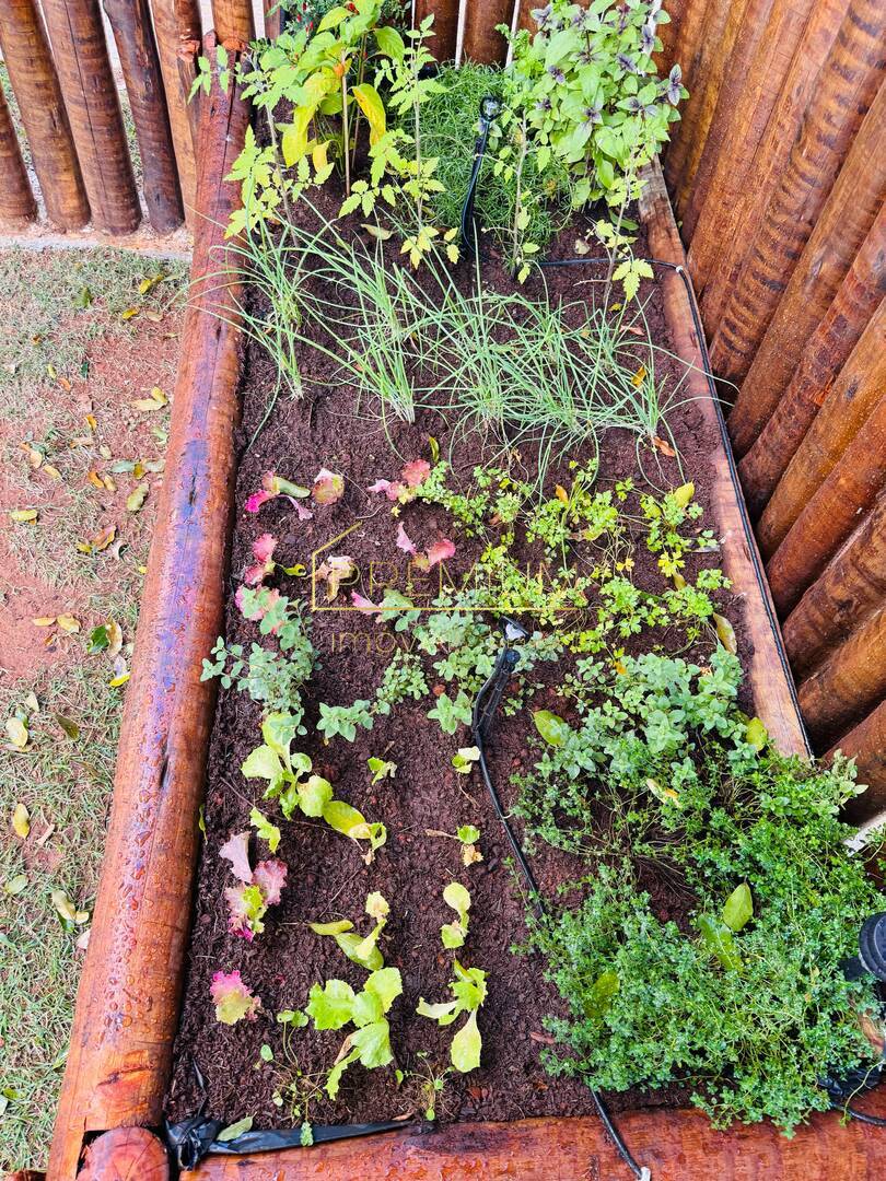 Casa, 4 quartos, 331 m² - Foto 5