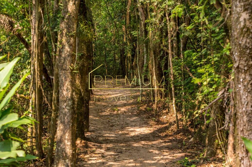 Casa, 4 quartos, 280 m² - Foto 32